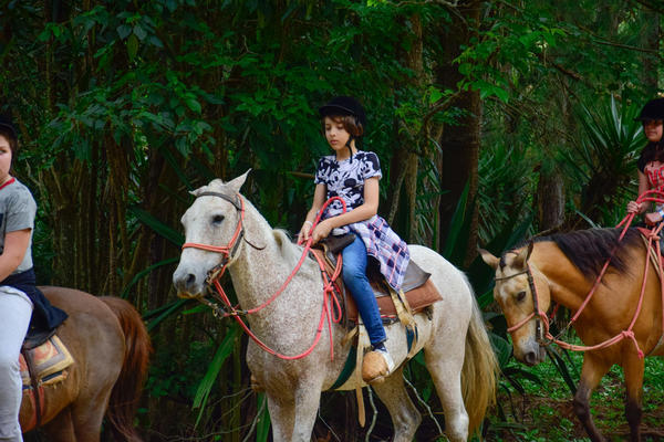 Buy your photos of the eventNR1 � Ol� 6� Ano � 08 a 10/11/17   on Fotop