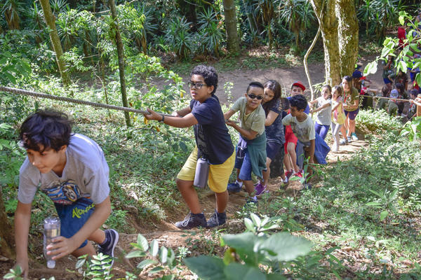 Buy your photos of the eventNR1 � Ol� 6� Ano � 08 a 10/11/17   on Fotop