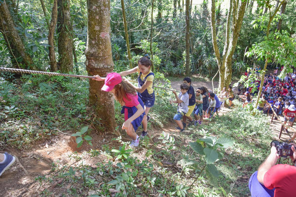 Buy your photos of the eventNR1 � Ol� 6� Ano � 08 a 10/11/17   on Fotop