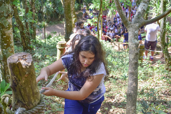 Buy your photos of the eventNR1 � Ol� 6� Ano � 08 a 10/11/17   on Fotop