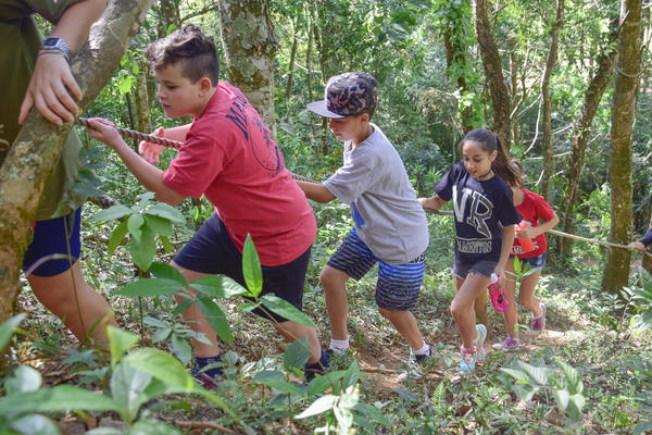 Buy your photos of the eventNR1 � Ol� 6� Ano � 08 a 10/11/17   on Fotop