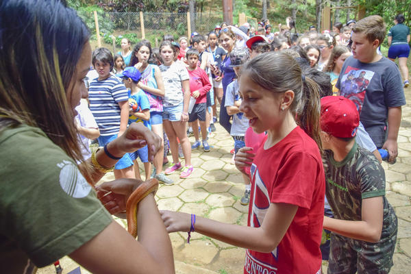 Buy your photos of the eventNR1 � Ol� 6� Ano � 08 a 10/11/17   on Fotop