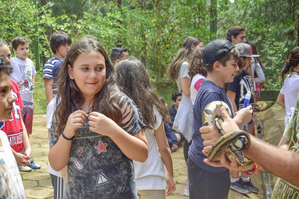 Buy your photos of the eventNR1 � Ol� 6� Ano � 08 a 10/11/17   on Fotop