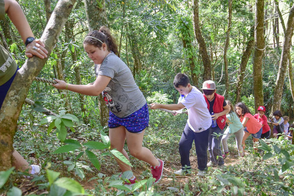 Buy your photos of the eventNR1 � Ol� 6� Ano � 08 a 10/11/17   on Fotop
