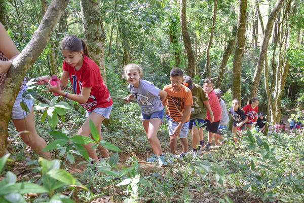 Buy your photos of the eventNR1 � Ol� 6� Ano � 08 a 10/11/17   on Fotop