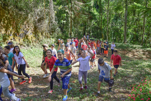 Buy your photos of the eventNR1 � Ol� 6� Ano � 08 a 10/11/17   on Fotop