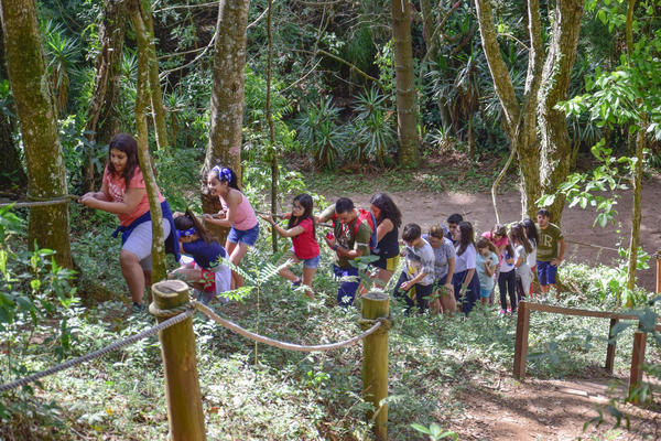 Buy your photos of the eventNR1 � Ol� 6� Ano � 08 a 10/11/17   on Fotop