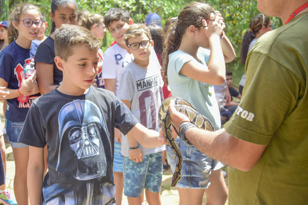 Buy your photos of the eventNR1 � Ol� 6� Ano � 08 a 10/11/17   on Fotop