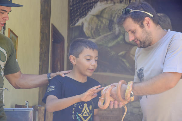 Buy your photos of the eventNR1 � Ol� 6� Ano � 08 a 10/11/17   on Fotop