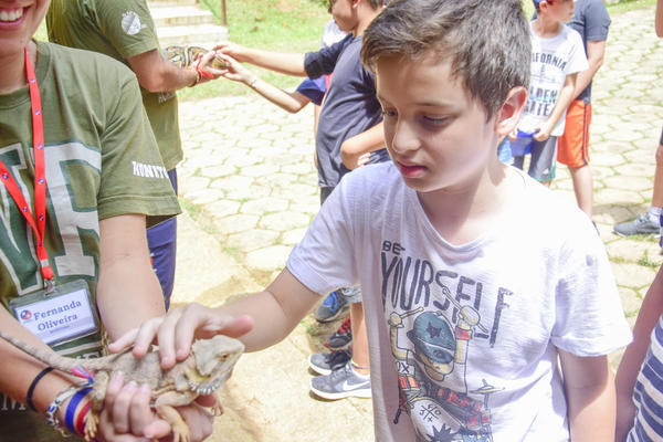 Buy your photos of the eventNR1 � Ol� 6� Ano � 08 a 10/11/17   on Fotop