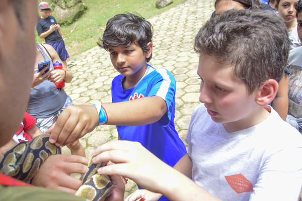 Buy your photos of the eventNR1 � Ol� 6� Ano � 08 a 10/11/17   on Fotop