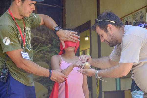 Buy your photos of the eventNR1 � Ol� 6� Ano � 08 a 10/11/17   on Fotop