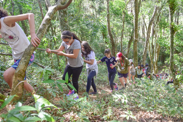 Buy your photos of the eventNR1 � Ol� 6� Ano � 08 a 10/11/17   on Fotop