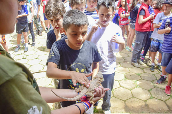 Buy your photos of the eventNR1 � Ol� 6� Ano � 08 a 10/11/17   on Fotop