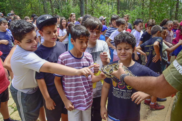 Buy your photos of the eventNR1 � Ol� 6� Ano � 08 a 10/11/17   on Fotop