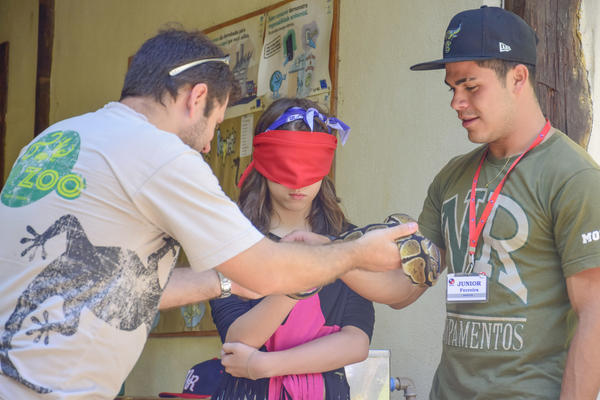 Buy your photos of the eventNR1 � Ol� 6� Ano � 08 a 10/11/17   on Fotop