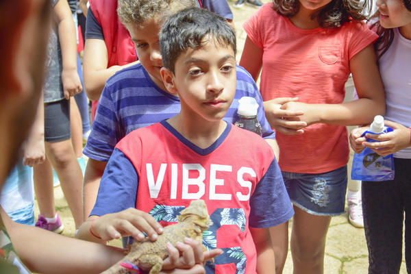 Buy your photos of the eventNR1 � Ol� 6� Ano � 08 a 10/11/17   on Fotop