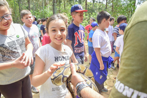 Buy your photos of the eventNR1 � Ol� 6� Ano � 08 a 10/11/17   on Fotop