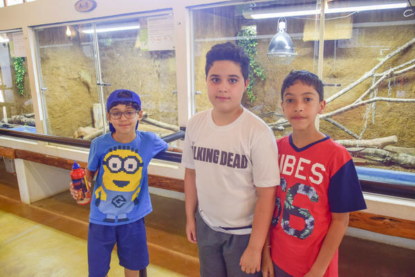 Buy your photos of the eventNR1 � Ol� 6� Ano � 08 a 10/11/17   on Fotop