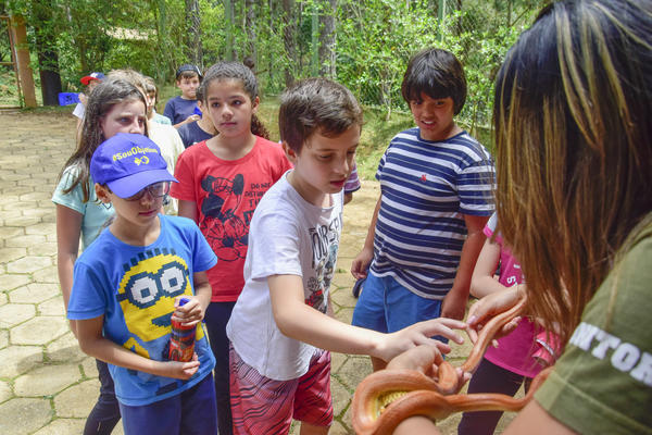 Buy your photos of the eventNR1 � Ol� 6� Ano � 08 a 10/11/17   on Fotop