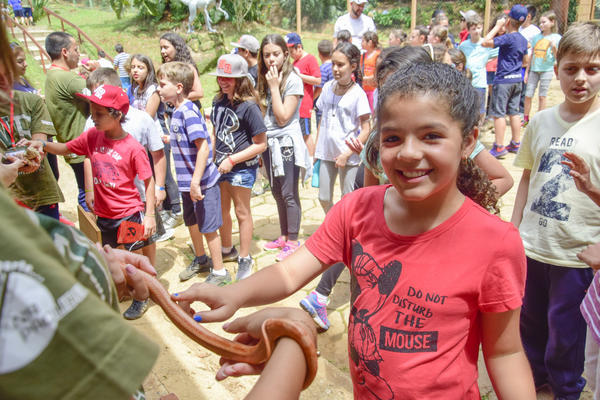 Buy your photos of the eventNR1 � Ol� 6� Ano � 08 a 10/11/17   on Fotop