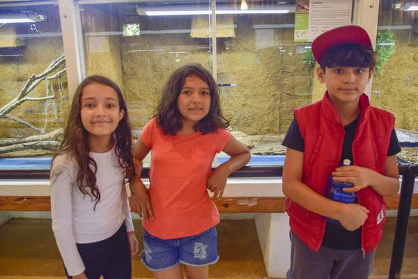 Buy your photos of the eventNR1 � Ol� 6� Ano � 08 a 10/11/17   on Fotop