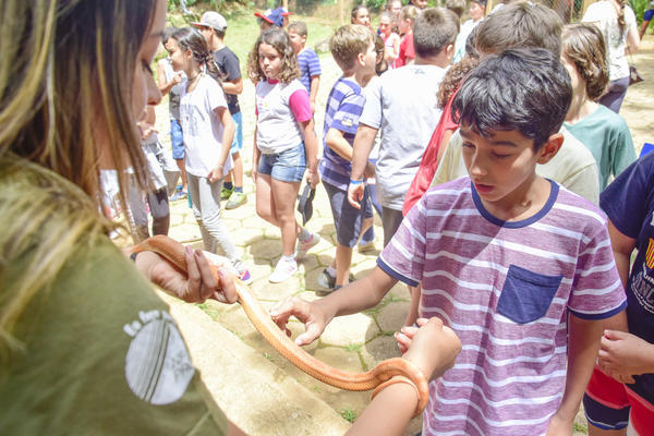 Buy your photos of the eventNR1 � Ol� 6� Ano � 08 a 10/11/17   on Fotop