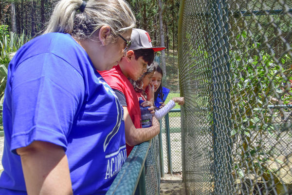 Buy your photos of the eventNR1 � Ol� 6� Ano � 08 a 10/11/17   on Fotop