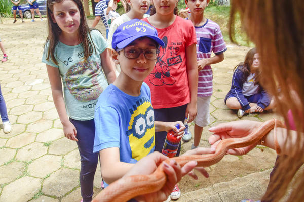 Buy your photos of the eventNR1 � Ol� 6� Ano � 08 a 10/11/17   on Fotop