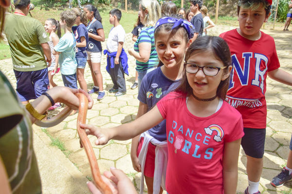 Buy your photos of the eventNR1 � Ol� 6� Ano � 08 a 10/11/17   on Fotop