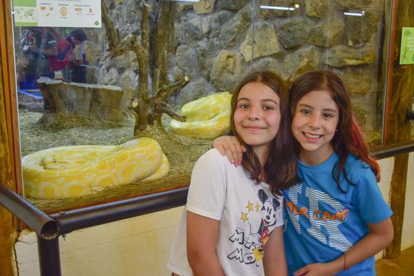 Buy your photos of the eventNR1 � Ol� 6� Ano � 08 a 10/11/17   on Fotop