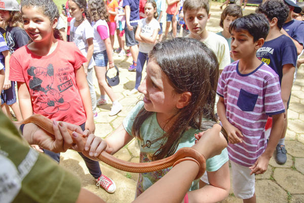 Buy your photos of the eventNR1 � Ol� 6� Ano � 08 a 10/11/17   on Fotop