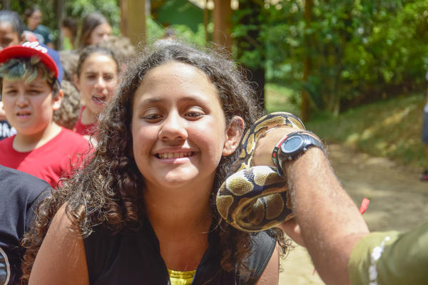 Buy your photos of the eventNR1 � Ol� 6� Ano � 08 a 10/11/17   on Fotop