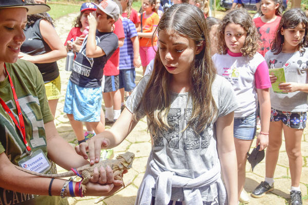 Buy your photos of the eventNR1 � Ol� 6� Ano � 08 a 10/11/17   on Fotop