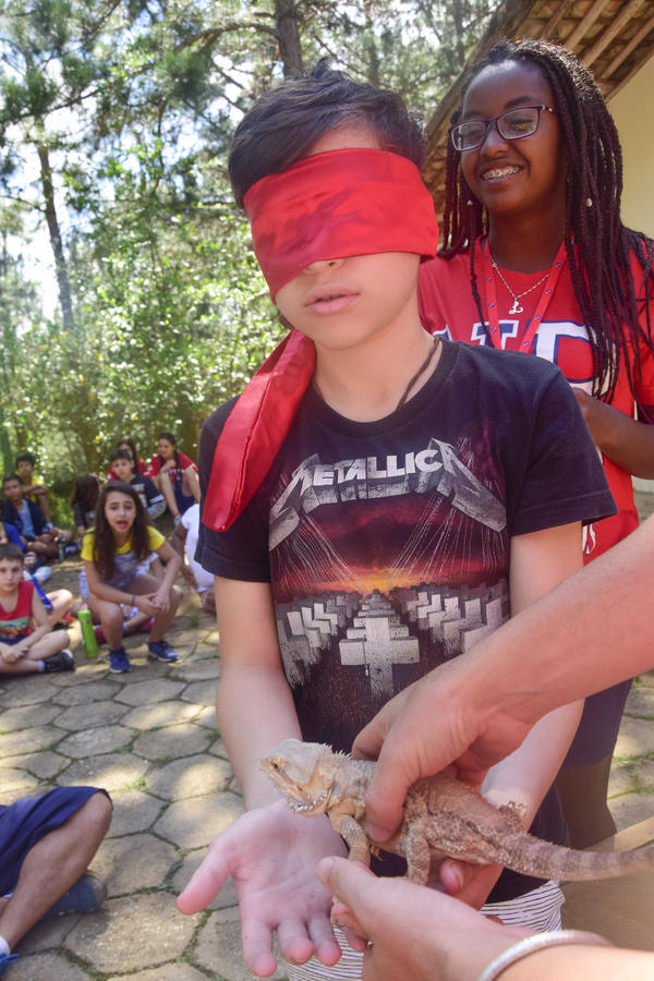 Buy your photos of the eventNR1 � Ol� 6� Ano � 08 a 10/11/17   on Fotop