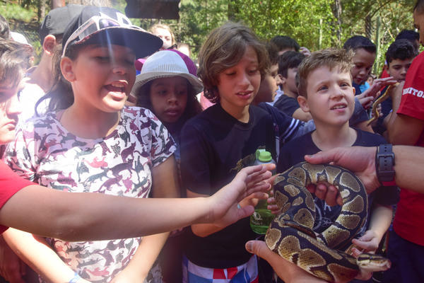 Buy your photos of the eventNR1 � Ol� 6� Ano � 08 a 10/11/17   on Fotop