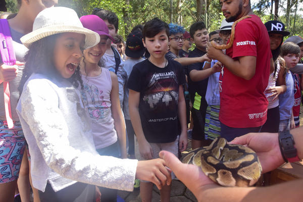 Buy your photos of the eventNR1 � Ol� 6� Ano � 08 a 10/11/17   on Fotop