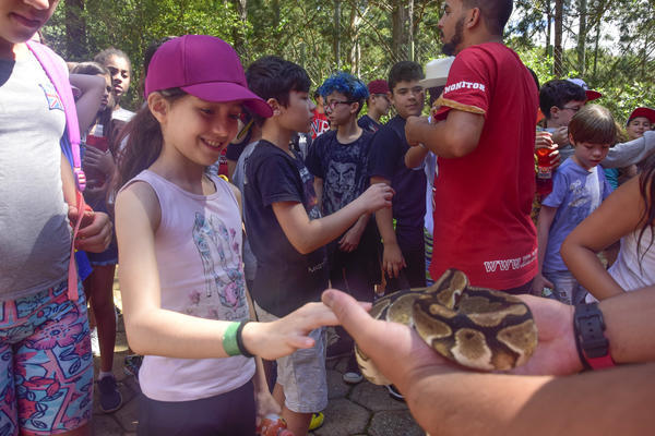 Buy your photos of the eventNR1 � Ol� 6� Ano � 08 a 10/11/17   on Fotop