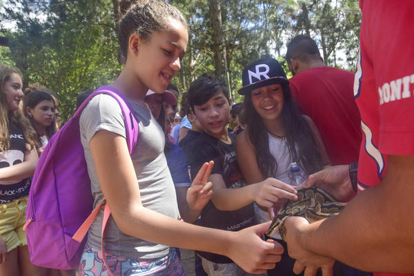 Buy your photos of the eventNR1 � Ol� 6� Ano � 08 a 10/11/17   on Fotop