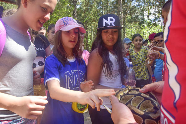 Buy your photos of the eventNR1 � Ol� 6� Ano � 08 a 10/11/17   on Fotop