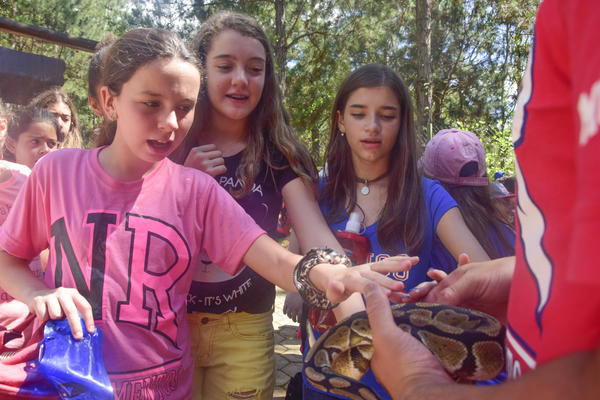 Buy your photos of the eventNR1 � Ol� 6� Ano � 08 a 10/11/17   on Fotop