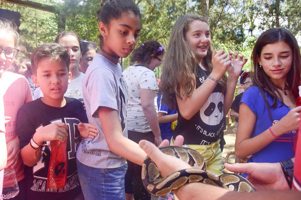 Buy your photos of the eventNR1 � Ol� 6� Ano � 08 a 10/11/17   on Fotop