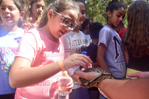 Buy your photos of the eventNR1 � Ol� 6� Ano � 08 a 10/11/17   on Fotop