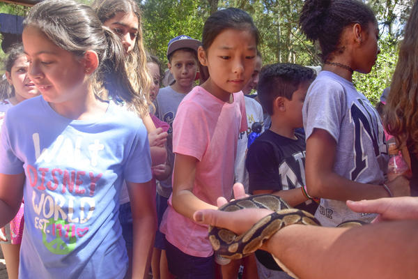 Buy your photos of the eventNR1 � Ol� 6� Ano � 08 a 10/11/17   on Fotop