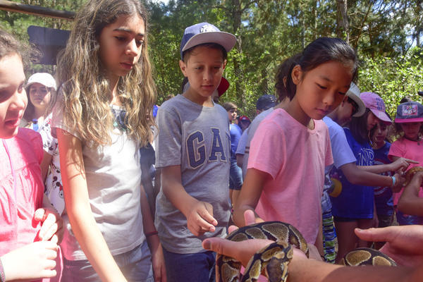 Buy your photos of the eventNR1 � Ol� 6� Ano � 08 a 10/11/17   on Fotop