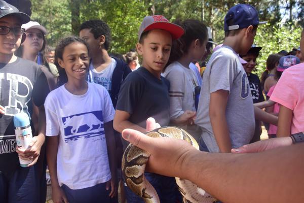 Buy your photos of the eventNR1 � Ol� 6� Ano � 08 a 10/11/17   on Fotop