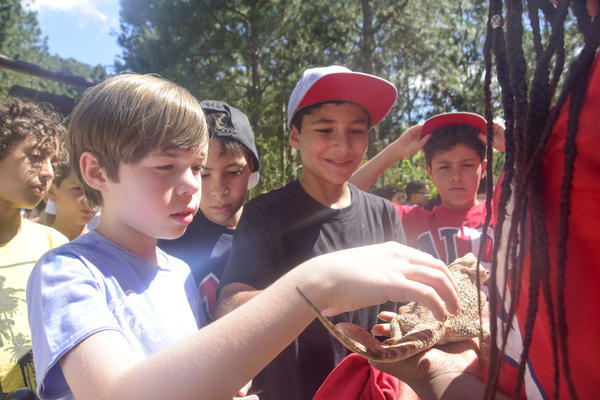 Buy your photos of the eventNR1 � Ol� 6� Ano � 08 a 10/11/17   on Fotop