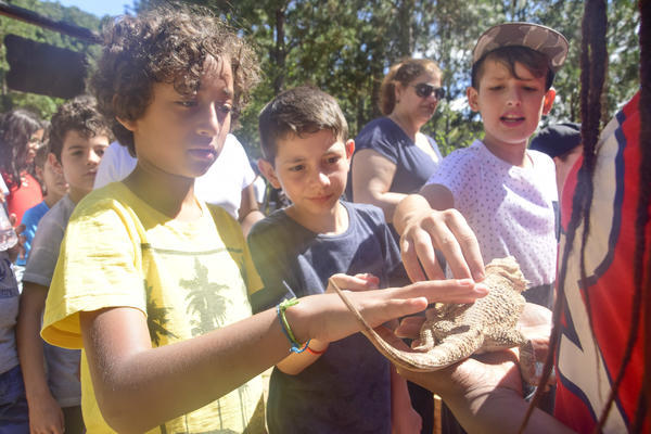 Buy your photos of the eventNR1 � Ol� 6� Ano � 08 a 10/11/17   on Fotop