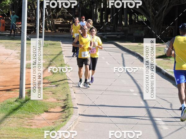 Buy your photos of the event5 Corrida de Casais da Lagoa Rodrigo de Freitas on Fotop