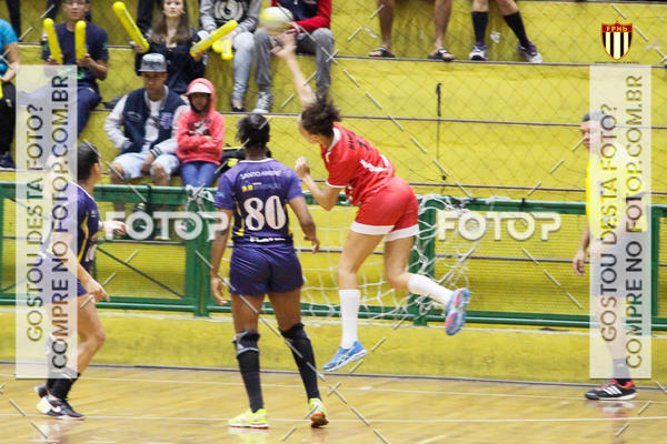 Compra tus fotos del eventoFinal Four - Finais Adulto Fem FPHB En Fotop